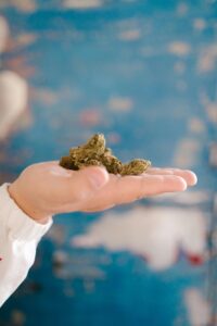 medical marijuana